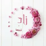 صورة قناة زادّ