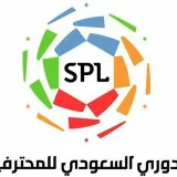 صورة قناة الدوري السعودي