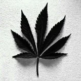 صورة قناة ٌخلُفَيَاتْ HD