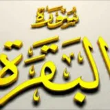 صورة قناة سورة البقرة (مقسمة صفحات)