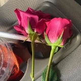 صورة قناة مطبخ جـــــــوان كــــــــوردي