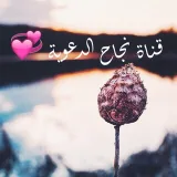 صورة قناة النجاح الدعوية