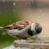 صورة قناة صور من الصعب التقاطها