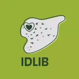 صورة قناة حالات واتس اب (فيديو)
