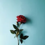 صورة قناة بيسيات