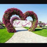 صورة قناة بيسيات سنابيه 
