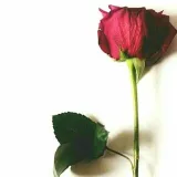 صورة قناة بيسِيآتَ