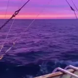صورة قناة  لاإله إلا الله