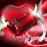 صورة قناة ❤ للمتزوجين فقط ❤