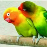 صورة قناة ❤️للمتزوجين فقط❤️