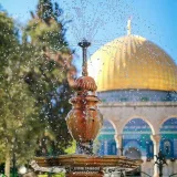 صورة قناة يوسفية الجمال 