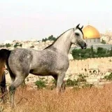 صورة قناة محمد ماجد الخطيب