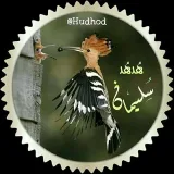 صورة قناة °`هـُدهــُد سـُـلـيـمـاَن ❆