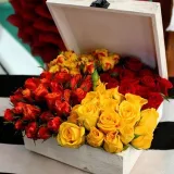 صورة قناة  جمال الحياة 