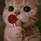 صورة قناة هترشات صيدلانيه