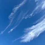 صورة قناة بسوس