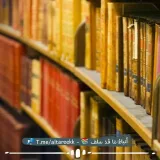 صورة قناة 《 أَخْبارُ السَّالِفِينَ 》