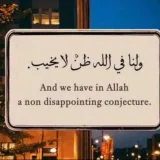 صورة قناة @  الشعراﺀ