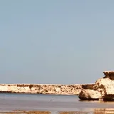 صورة قناة جهينة الإخبارية
