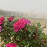 صورة قناة رمزيات وتصاميم إسلامية