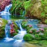 صورة قناة تنمية بشرية