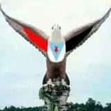 صورة قناة الواقع برس الإخبارية