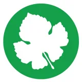 صورة قناة عنب بلدي