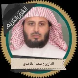 صورة قناة القارئ : سعد الغامدي ( تلاوات )
