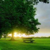 صورة قناة دَوحَـة 
