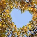 صورة قناة آيَــات | AYAT