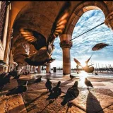 صورة قناة فـــرائــد