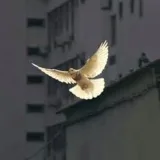 صورة قناة مملكتك