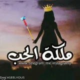 صورة قناة دﯡلــــــﺔ الحپ✨