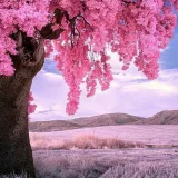 صورة قناة جروب دورة أدوبي فوتوشوب للمبتدئين