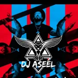 صورة قناة Dj AseeL Music