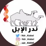صورة قناة ندر الابل