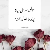 صورة قناة فوائد من ضياء💌