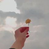 صورة قناة اعلانات اكواد 💚