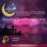 صورة قناة همسات