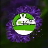 صورة قناة اسئله ستوري ، معايدات ، تهنئه ، تهنئات ، اعياد ميلاد ، عيد الحب ، فلنتاين ، رأس السنه ، كبلات ، عيد الأم ، عيد الاضحى ، ميلاد ،