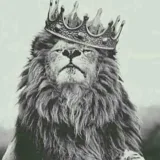 صورة قناة ‹ B꯭A꯭R꯭ P꯭E꯭S꯭O꯭ ،| 🦁❤️!