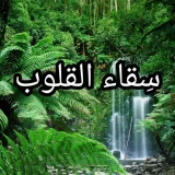 صورة قناة ✨ سِقاء القلوب✨