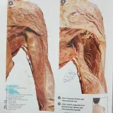 صورة قناة كتب و مراجع طبية