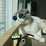 صورة قناة 😂 عالم الضحك 😂