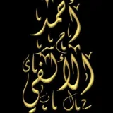 صورة قناة أحمد الألفى