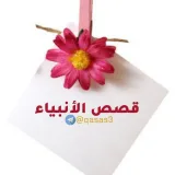 صورة قناة السيرة النبوية❤️