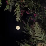 صورة قناة فضفضة🫀