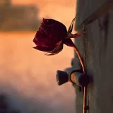 صورة قناة اذكار - اقتباسات - صور - Azkar - Quotes - pictures