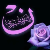 صورة قناة قناة " ن " الرسمية