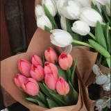 صورة قناة النسيم.